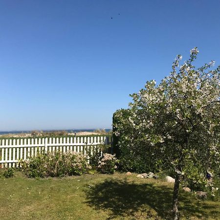 Ferienwohnung Fritzi Глове Экстерьер фото